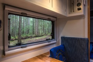 Temperate Rain Forest